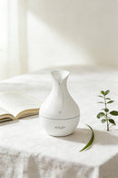 DIFFUSORE DI AROMI - Cod. HM28