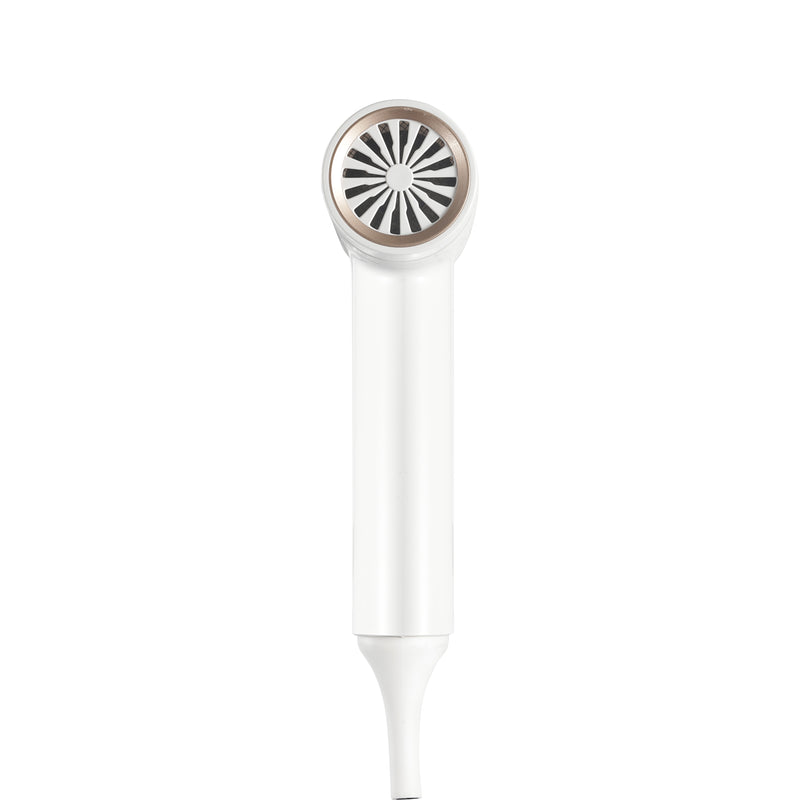 Asciugacapelli 1600w